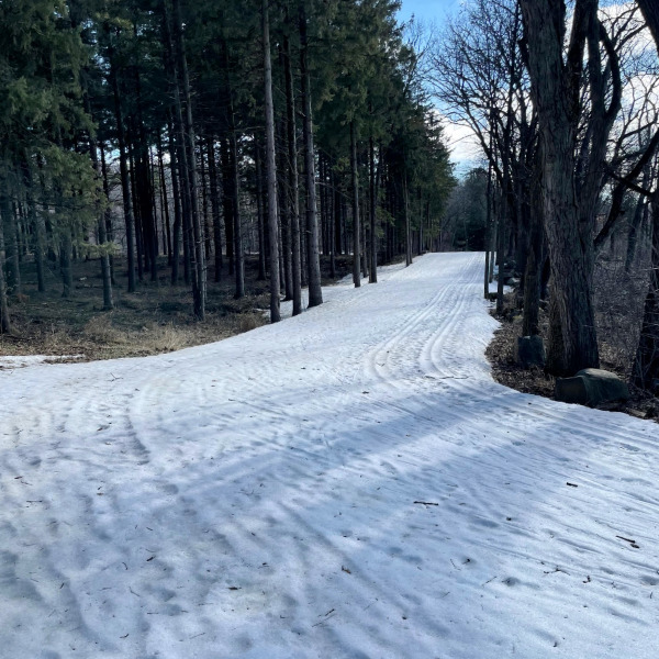 ski trails at Lapham Peak